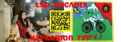 spice Пушкино