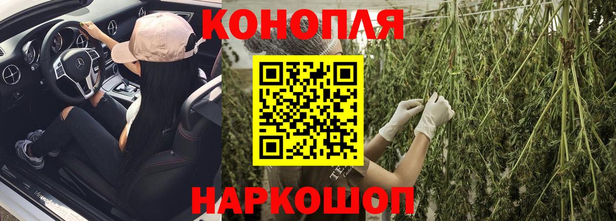 Конопля конопля  Вход с VPN  Саратов  Бошки марихуана индика  Каннабис конопля 
